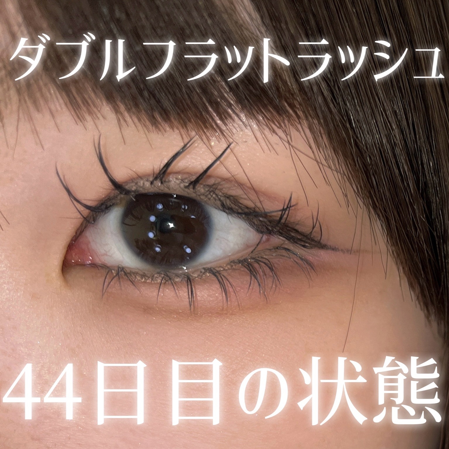 メロウシャドウ/KiSS/ジェル・クリームアイシャドウを使ったクチコミ（1枚目）