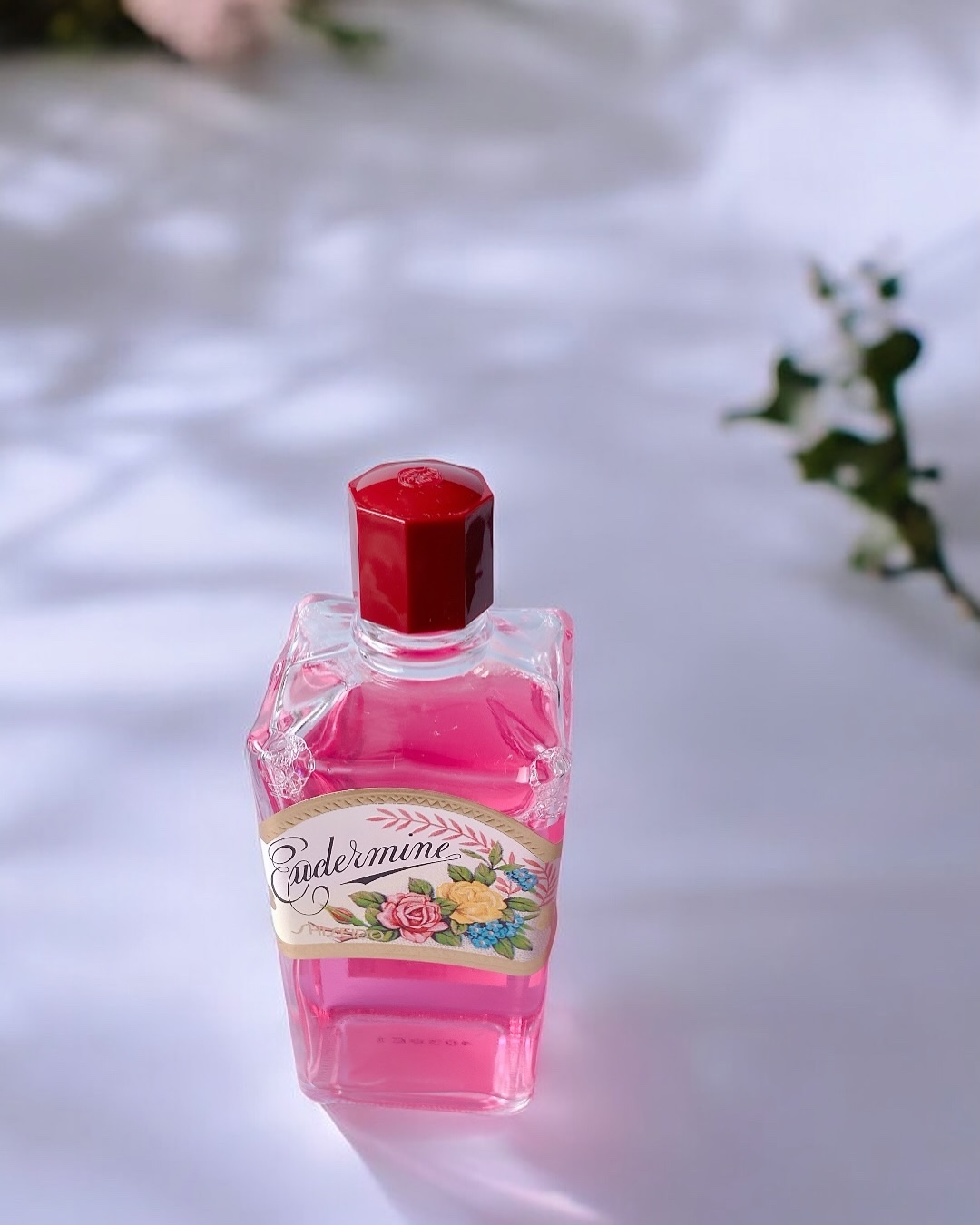 SHISEIDO オイデルミン（N）のクチコミ「資生堂のこれ可愛くてずっと使ってる
さっぱりするし500円で買える🥺レトロ可愛い🩷

#拭き取.....」（1枚目）