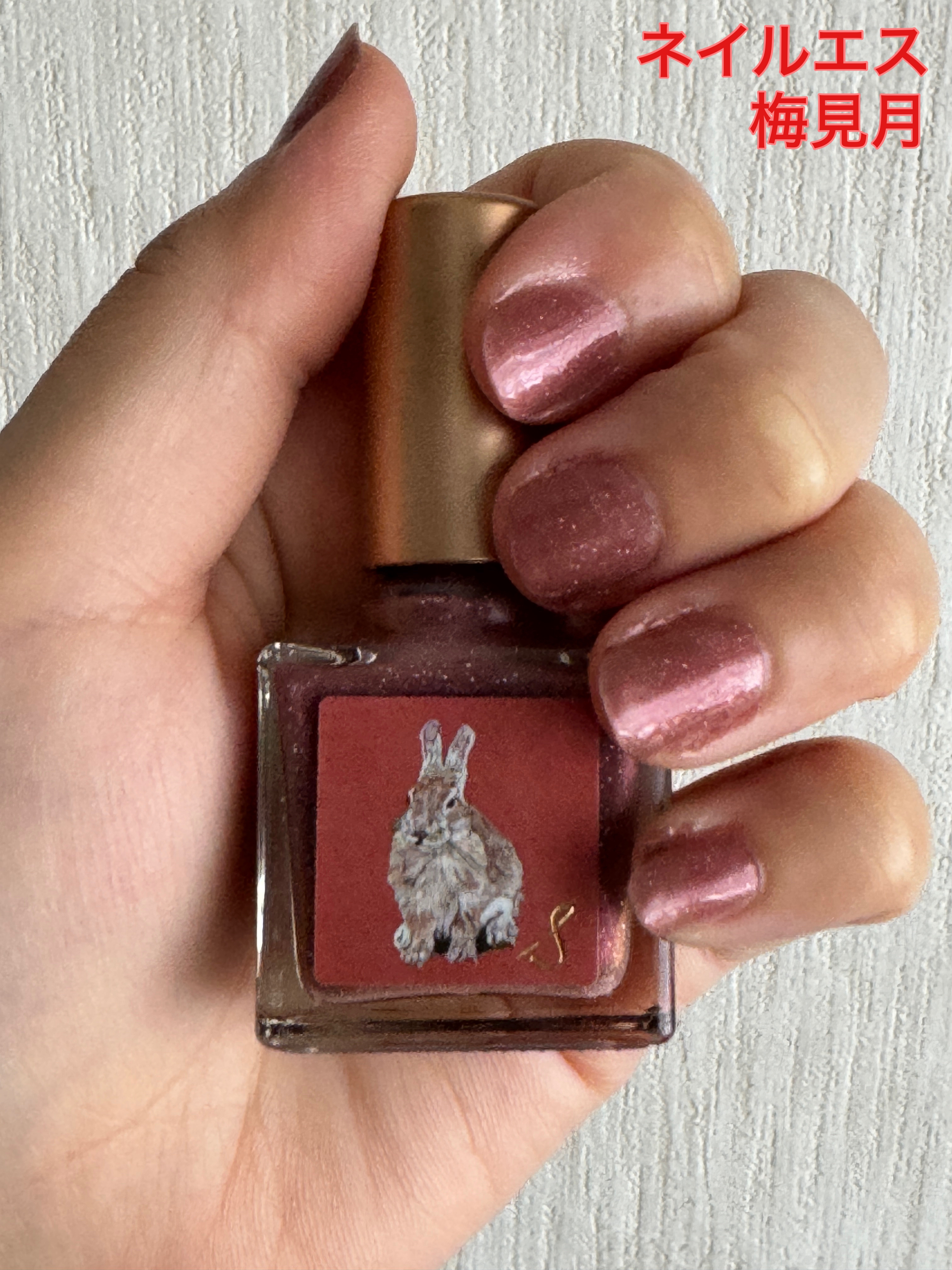 ネイルエス/ nail S(ネイルエス) /マニキュアを使ったクチコミ（1枚目）
