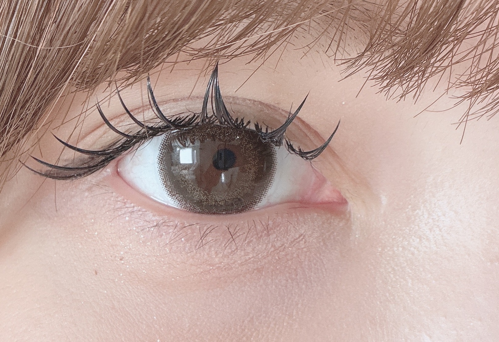 エバーカラーワンデーナチュラル モイストレーベルUV/エバーカラー/ワンデー（１DAY）カラコンを使ったクチコミ（1枚目）