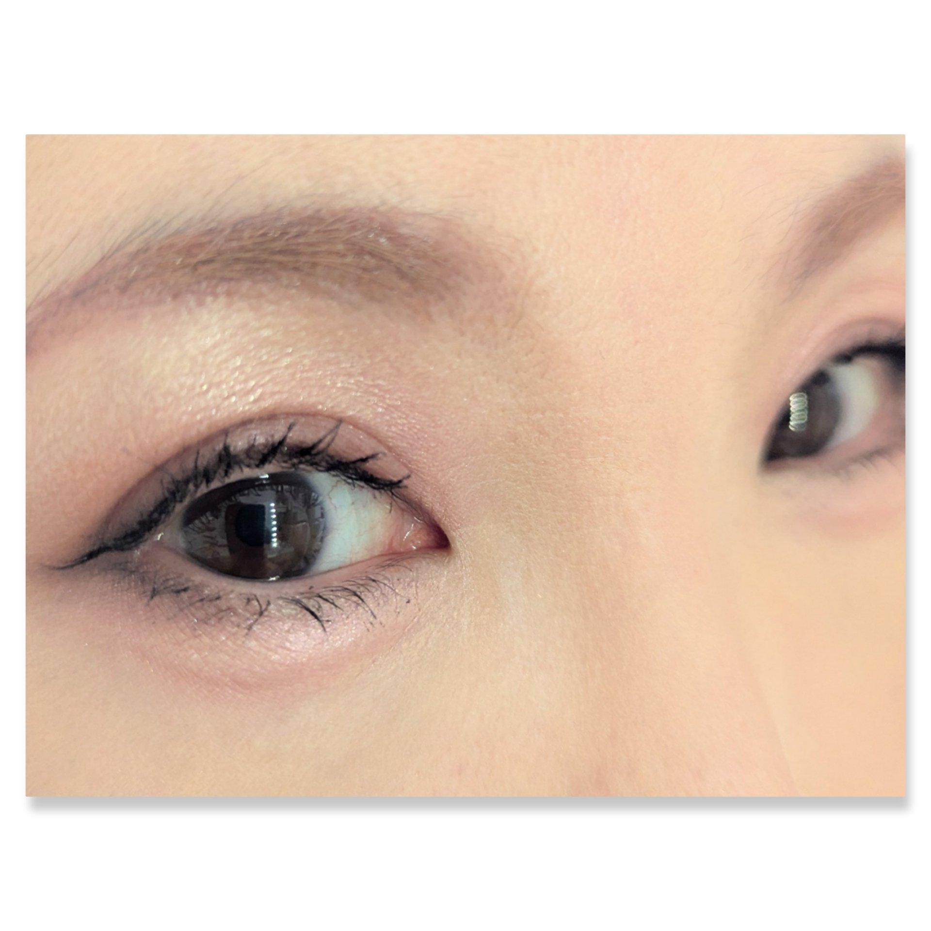 グラデーション アイシャドウ/ちふれ/アイシャドウパレットを使ったクチコミ（2枚目）