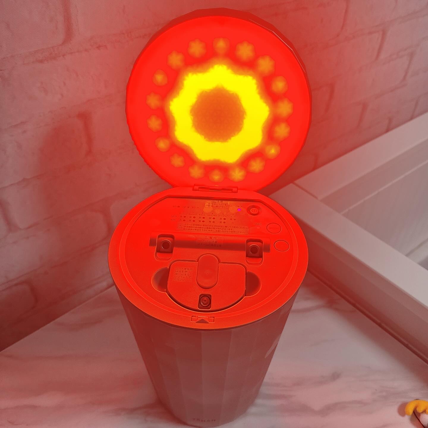 フォトスチーマー/YA-MAN TOKYO JAPAN/美顔器・マッサージを使ったクチコミ（3枚目）