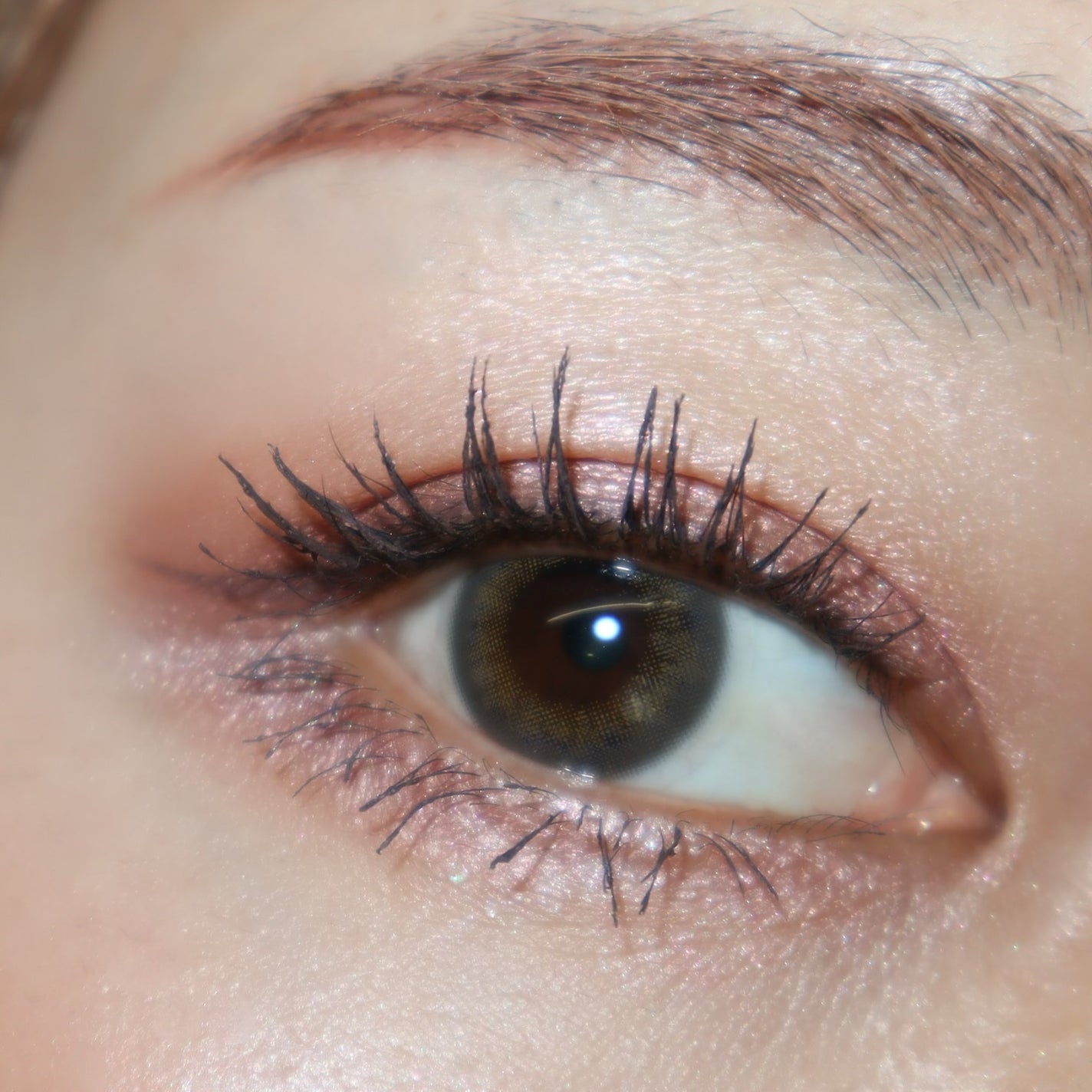 ライティングアップアイシャドウ/CEZANNE/アイシャドウを使ったクチコミ(7枚目)