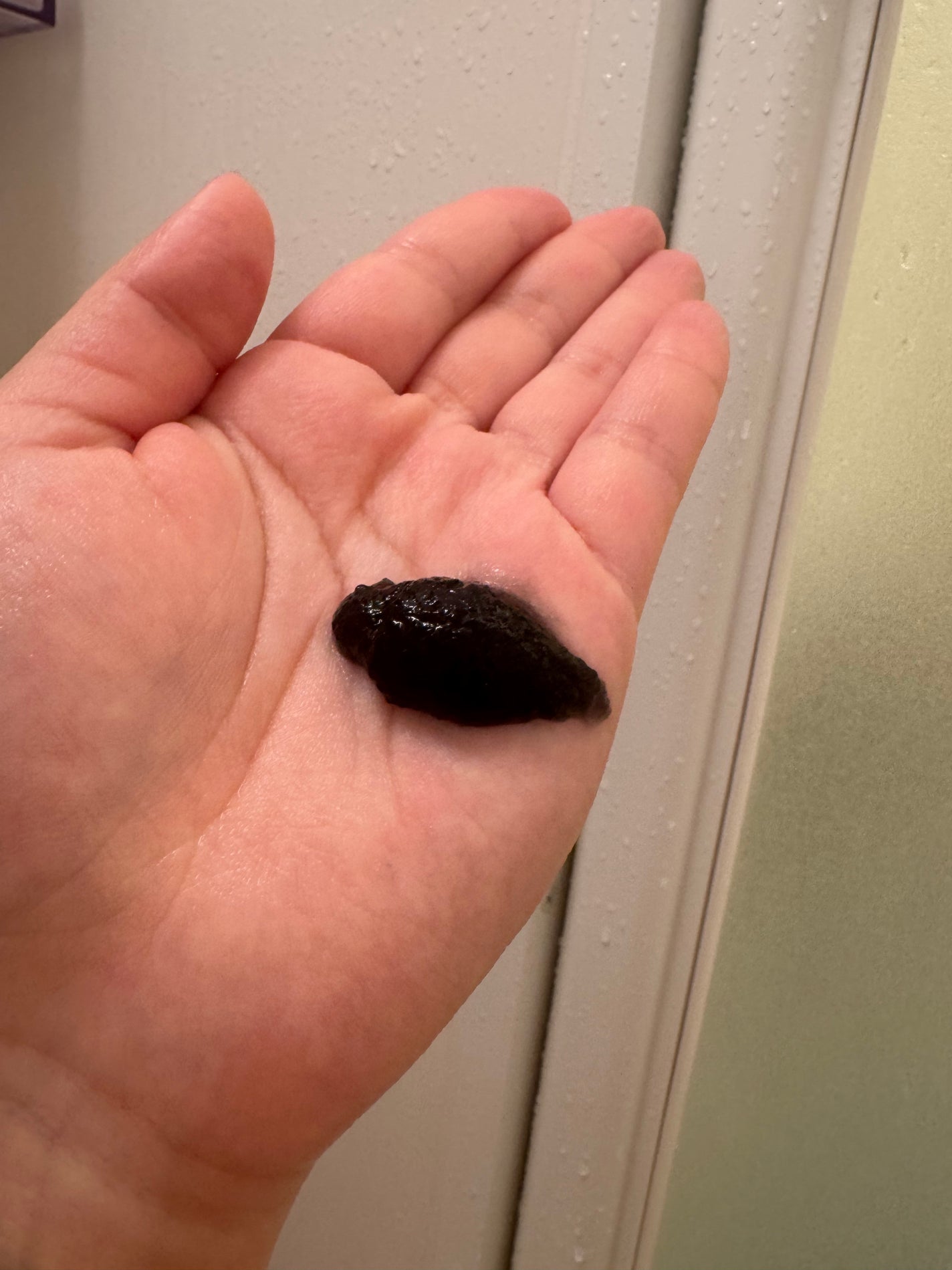 BLACK JELLY WASH(ブラックジェリーウォッシュ)/PLUEST/その他洗顔料を使ったクチコミ(7枚目)