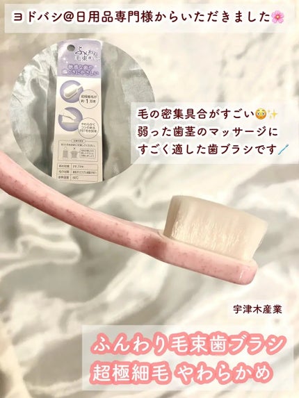 ふんわり毛束歯ブラシ/宇津木産業/歯ブラシを使ったクチコミ(2枚目)