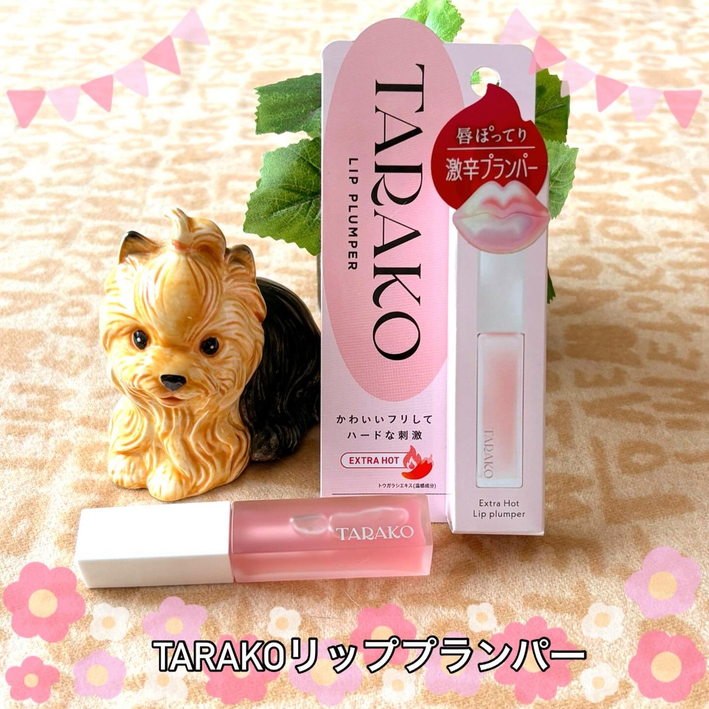 TARAKO リッププランパー/GR-Lab./リップグロスを使ったクチコミ(1枚目)