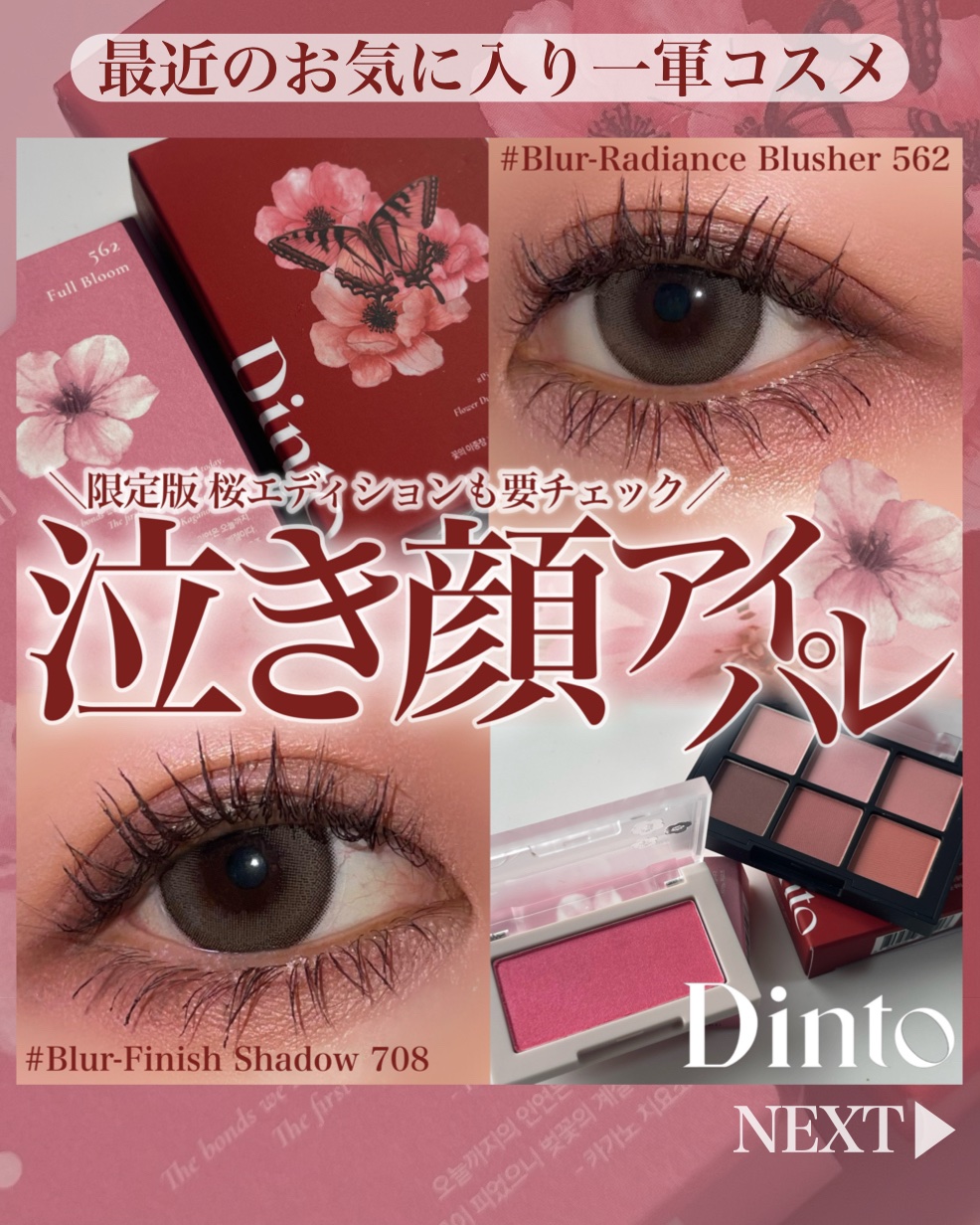 ブラーフィニシュシャドウパレット/Dinto/アイシャドウパレットを使ったクチコミ（1枚目）