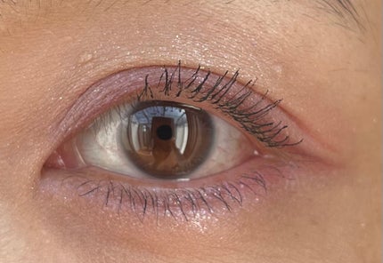 ジルスチュアート ブルームクチュール アイズ ジュエルドブーケ/JILL STUART/アイシャドウパレットを使ったクチコミ(5枚目)