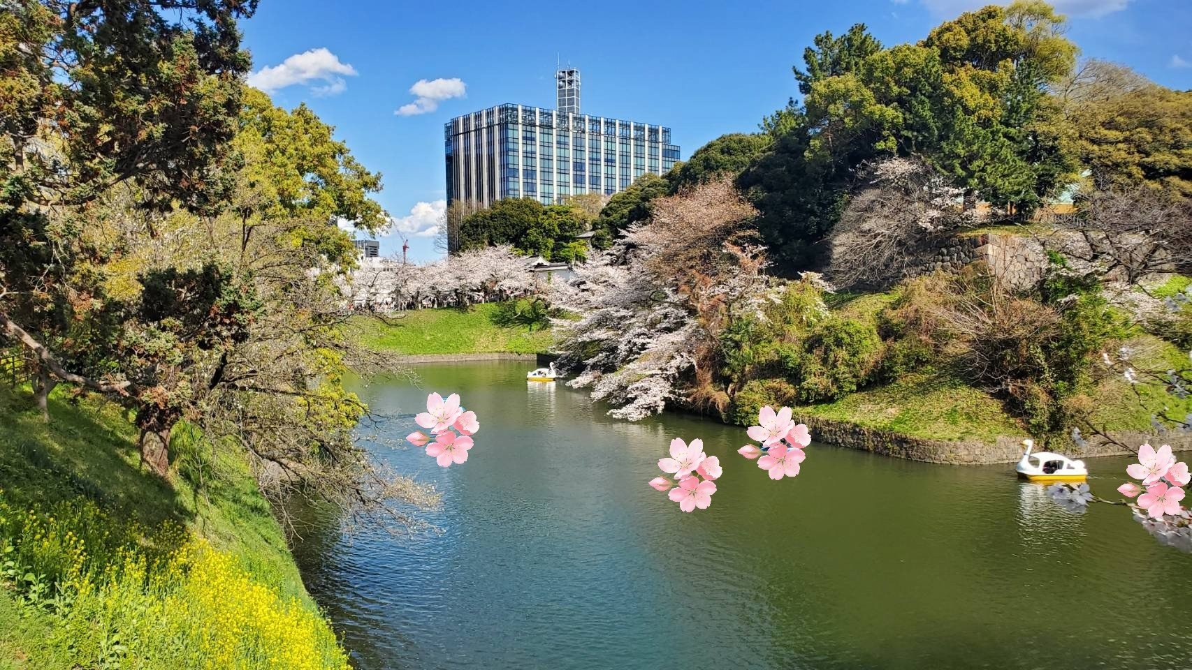 アイグロウ ジェム/DECORTÉ/ジェル・クリームアイシャドウを使ったクチコミ（1枚目）