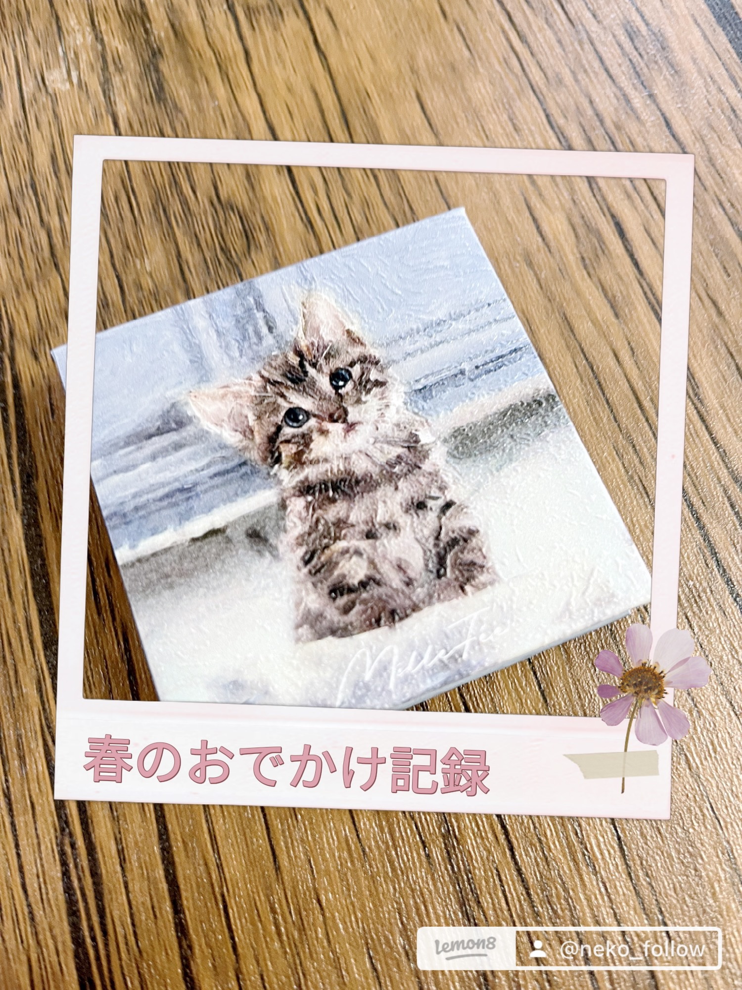 マイキティアイパレット/MilleFée/アイシャドウパレットを使ったクチコミ（2枚目）