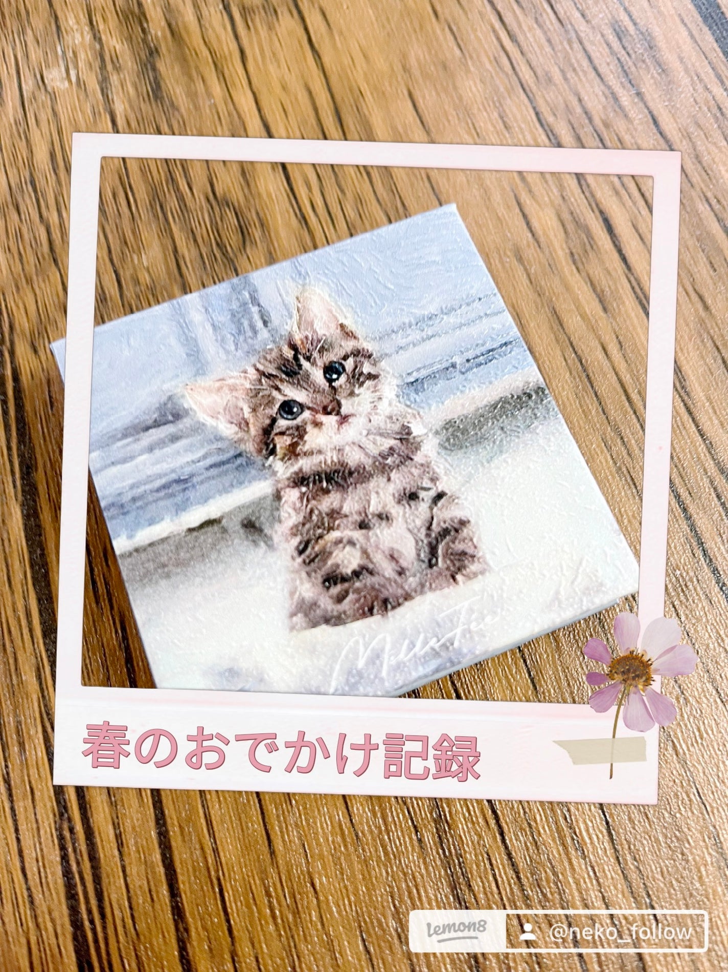 マイキティアイパレット/MilleFée/アイシャドウパレットを使ったクチコミ(2枚目)