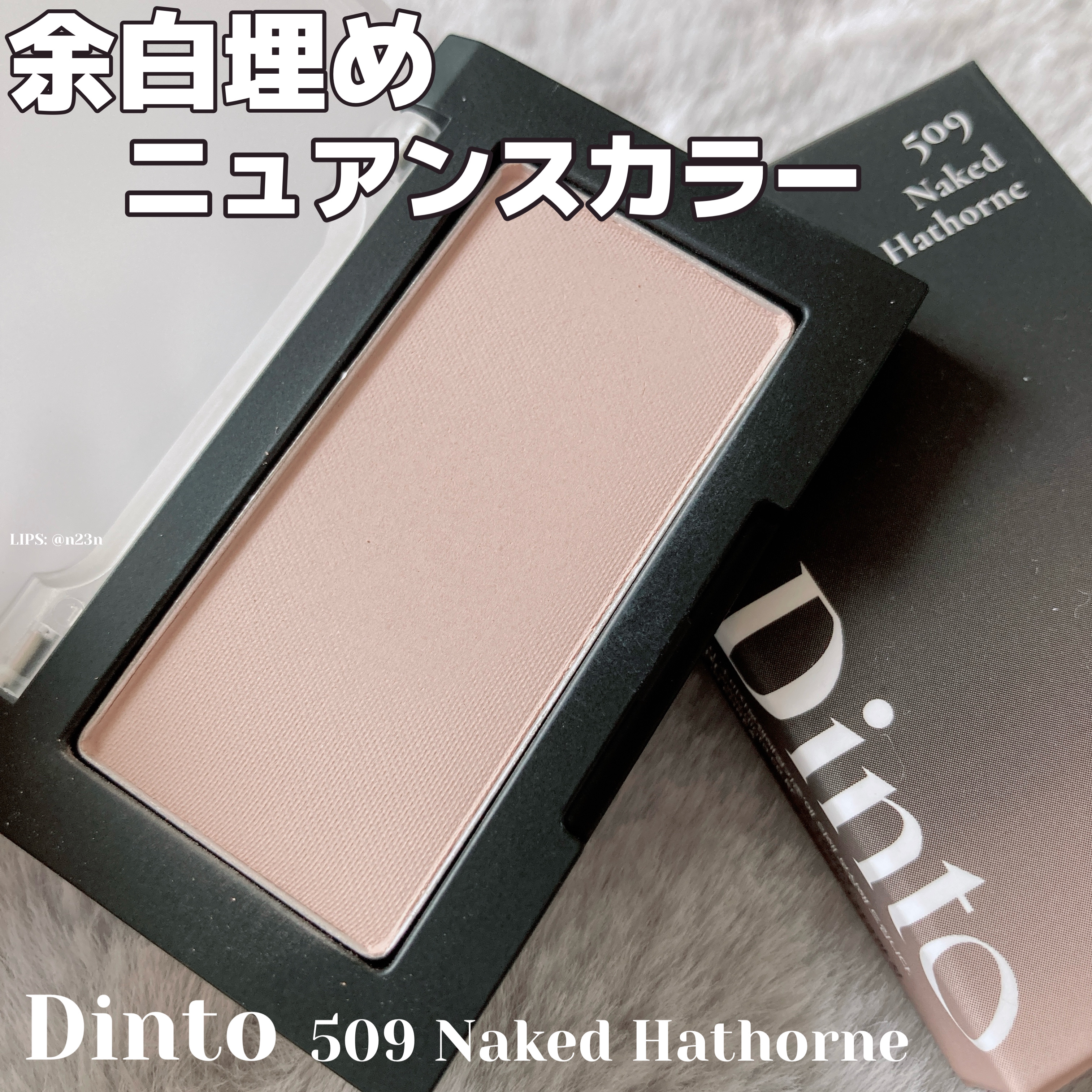 ブラーフィニシュブラッシャー/Dinto/パウダーチークを使ったクチコミ（1枚目）