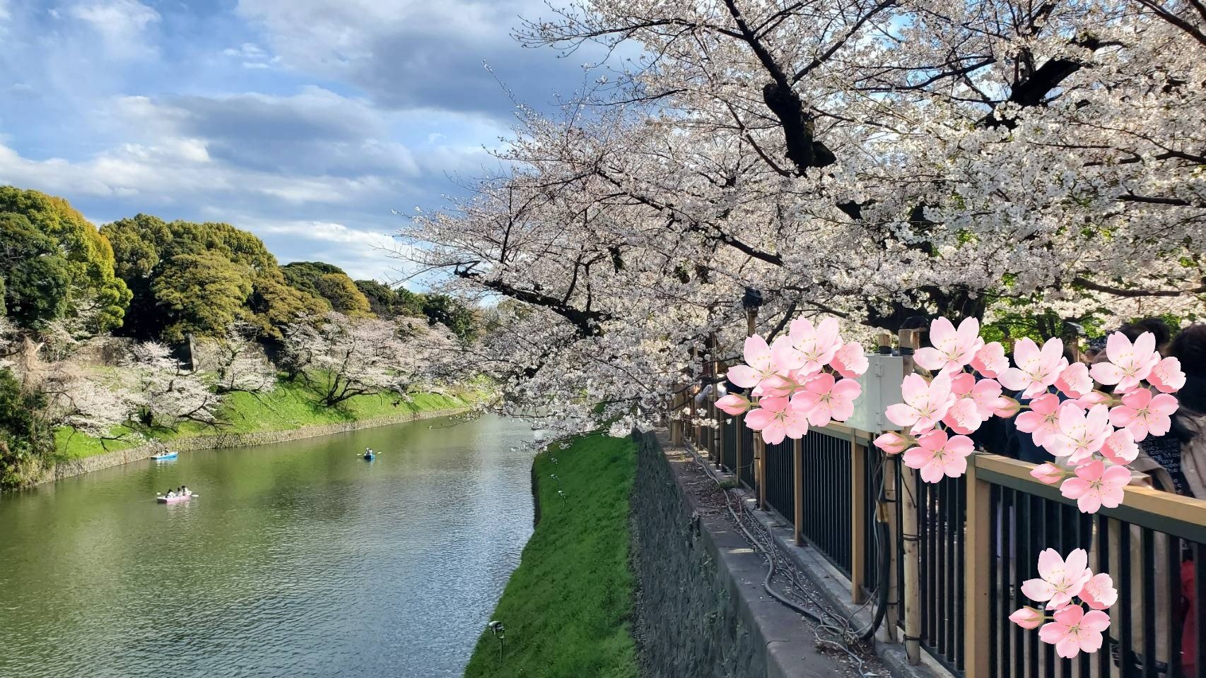 アイグロウ ジェム/DECORTÉ/ジェル・クリームアイシャドウを使ったクチコミ（2枚目）