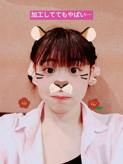 パーフェクトマルチアイズ/キャンメイク/アイシャドウパレットを使ったクチコミ(4枚目)