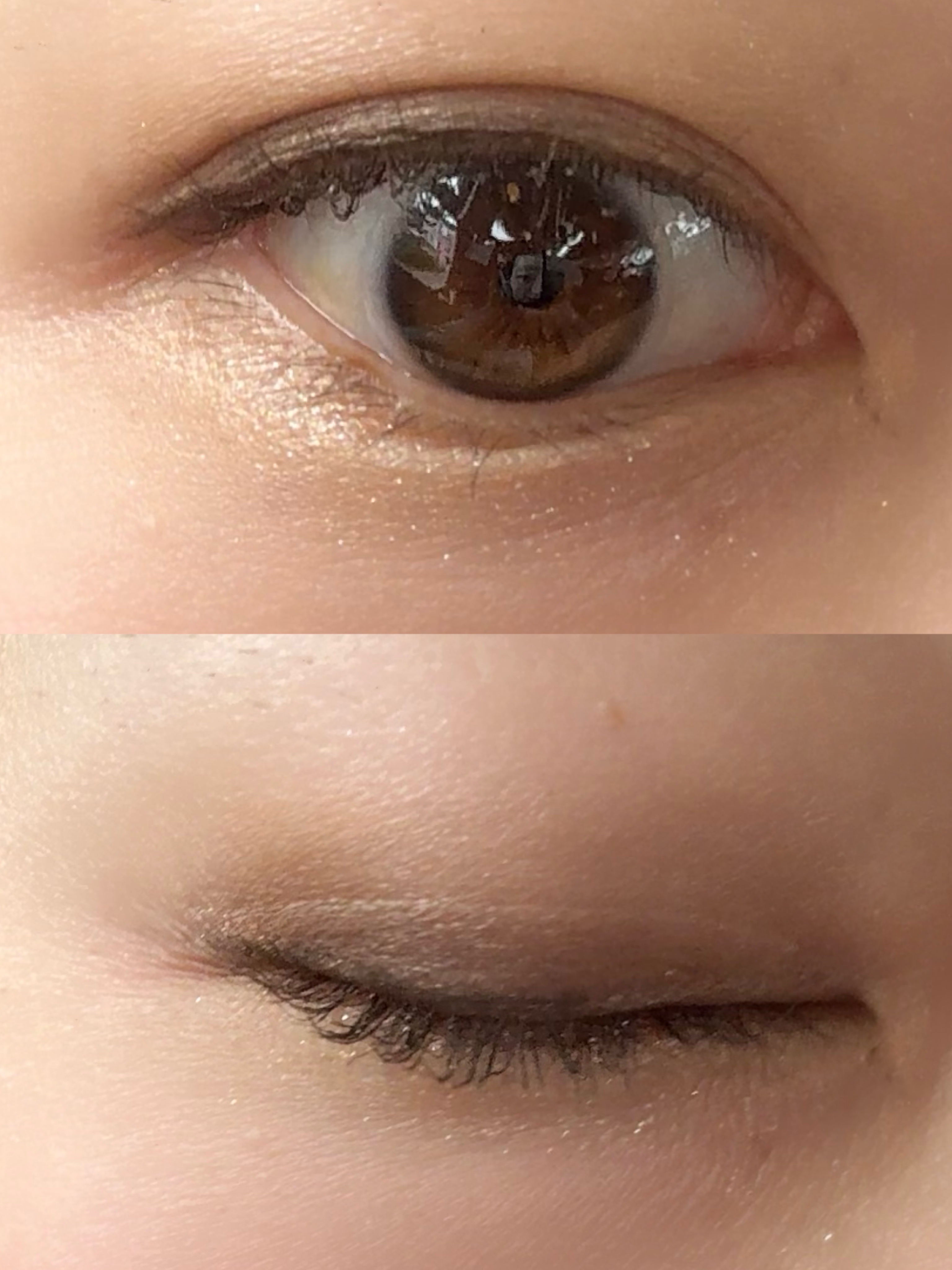 スキンモデリングアイズ/LUNASOL/アイシャドウパレットを使ったクチコミ（2枚目）