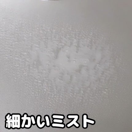 ビタペアCセラムミスト/ネイチャーリパブリック/ミスト状化粧水を使ったクチコミ(5枚目)