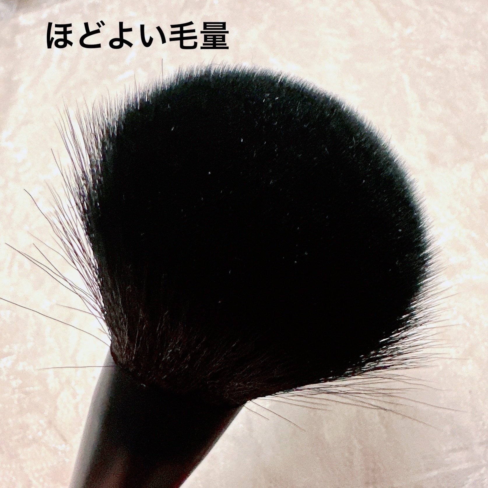 ごくふわっ フェイスブラシ 斜めカット/DAISO/メイクブラシを使ったクチコミ（2枚目）