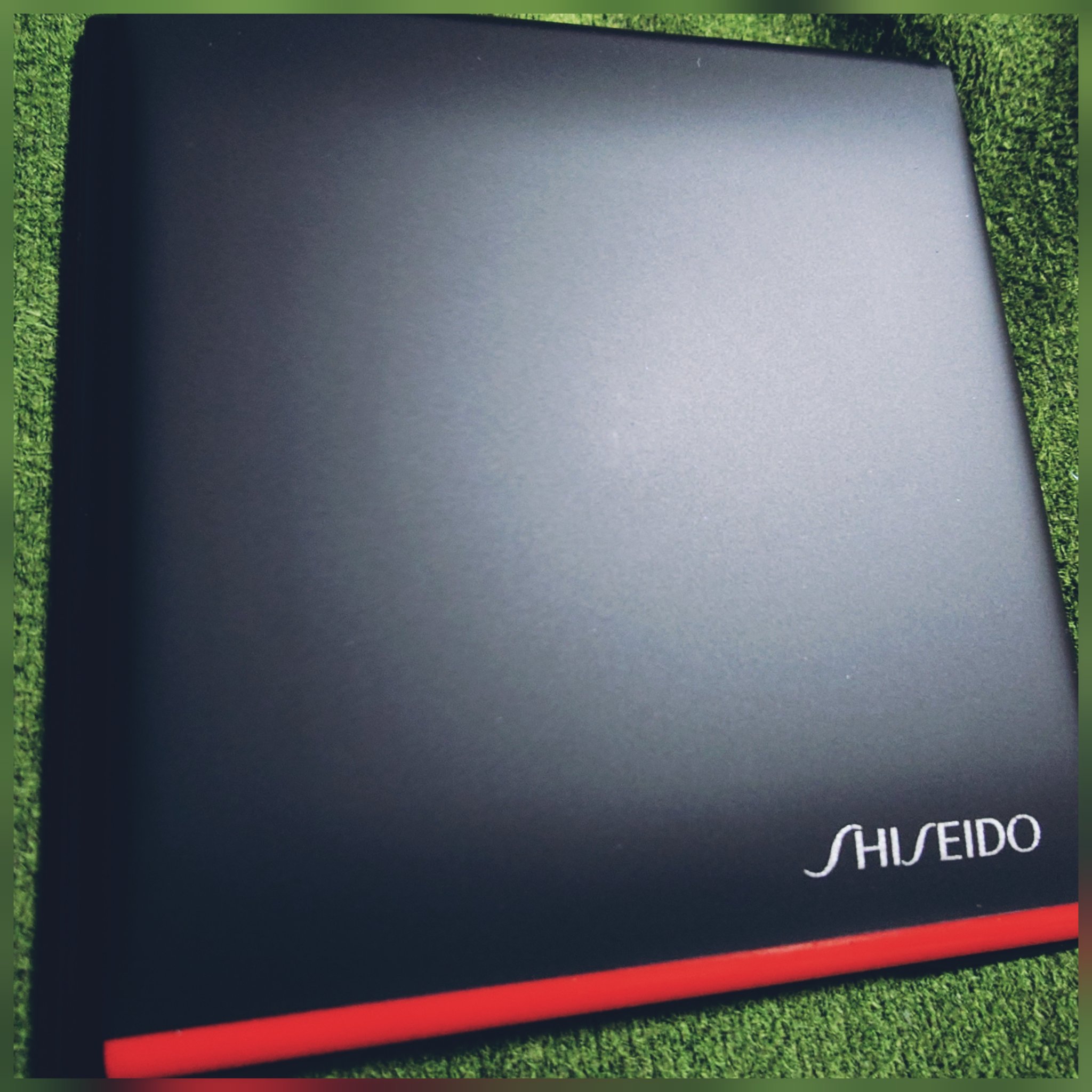 インナーグロウ チークパウダー/SHISEIDO/パウダーチークを使ったクチコミ（3枚目）