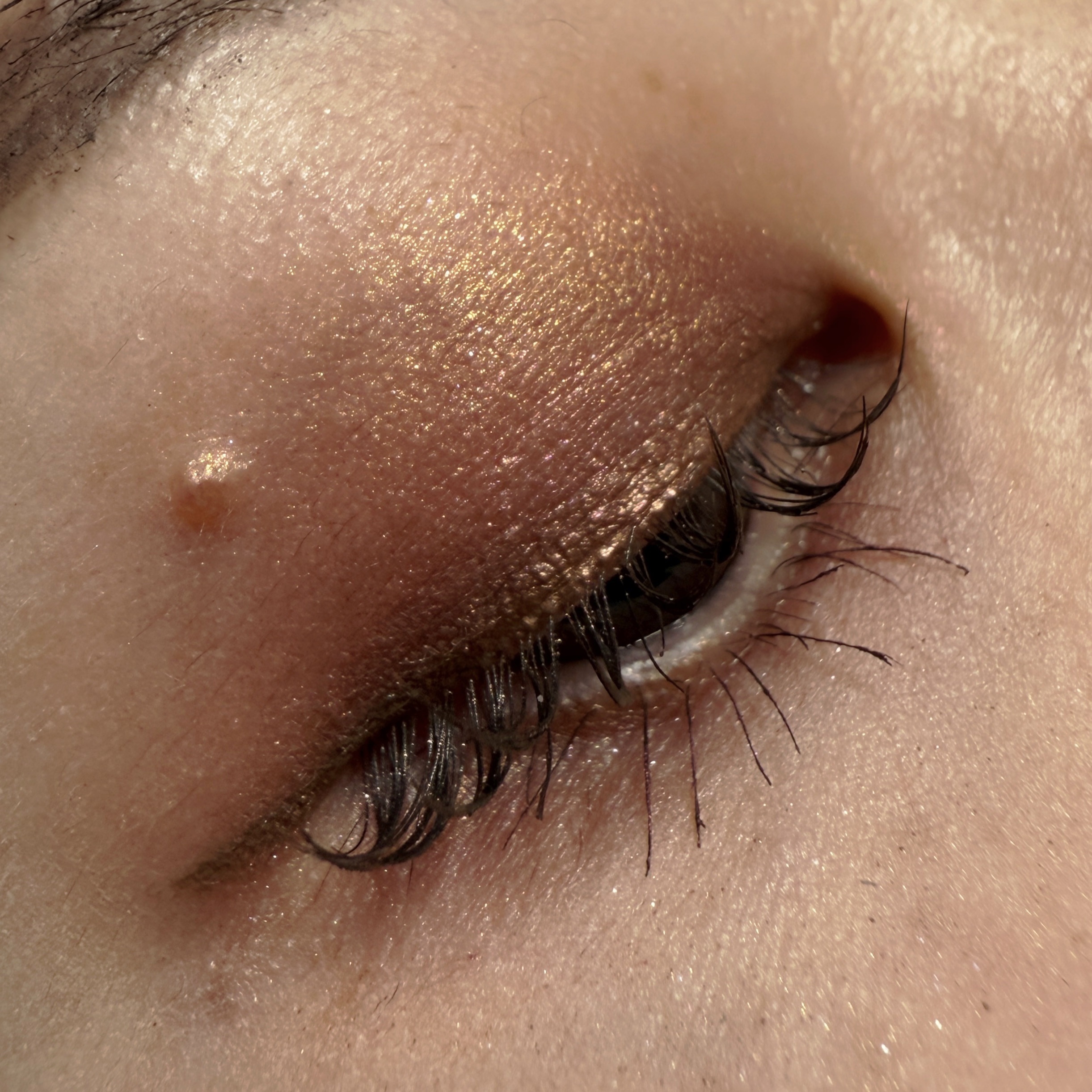 Mother Ship VII Divine Rose /PAT McGRATH LABS/アイシャドウパレットを使ったクチコミ（3枚目）