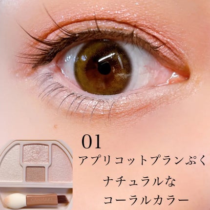 プランぷくコーデアイズ/キャンメイク/パウダーアイシャドウを使ったクチコミ(3枚目)