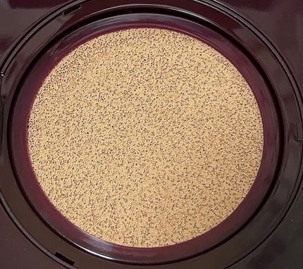 HERSHEY’S チーク&ハイライト/SHOBIDO/ハイライトを使ったクチコミ(7枚目)