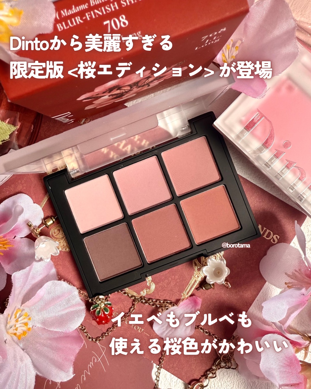 ブラーフィニシュシャドウパレット/Dinto/アイシャドウパレットを使ったクチコミ（2枚目）