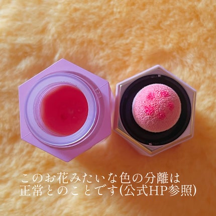 シーグラム カラーブルーム リキッドブラッシュ/SHEGLAM/リキッドチークを使ったクチコミ(5枚目)