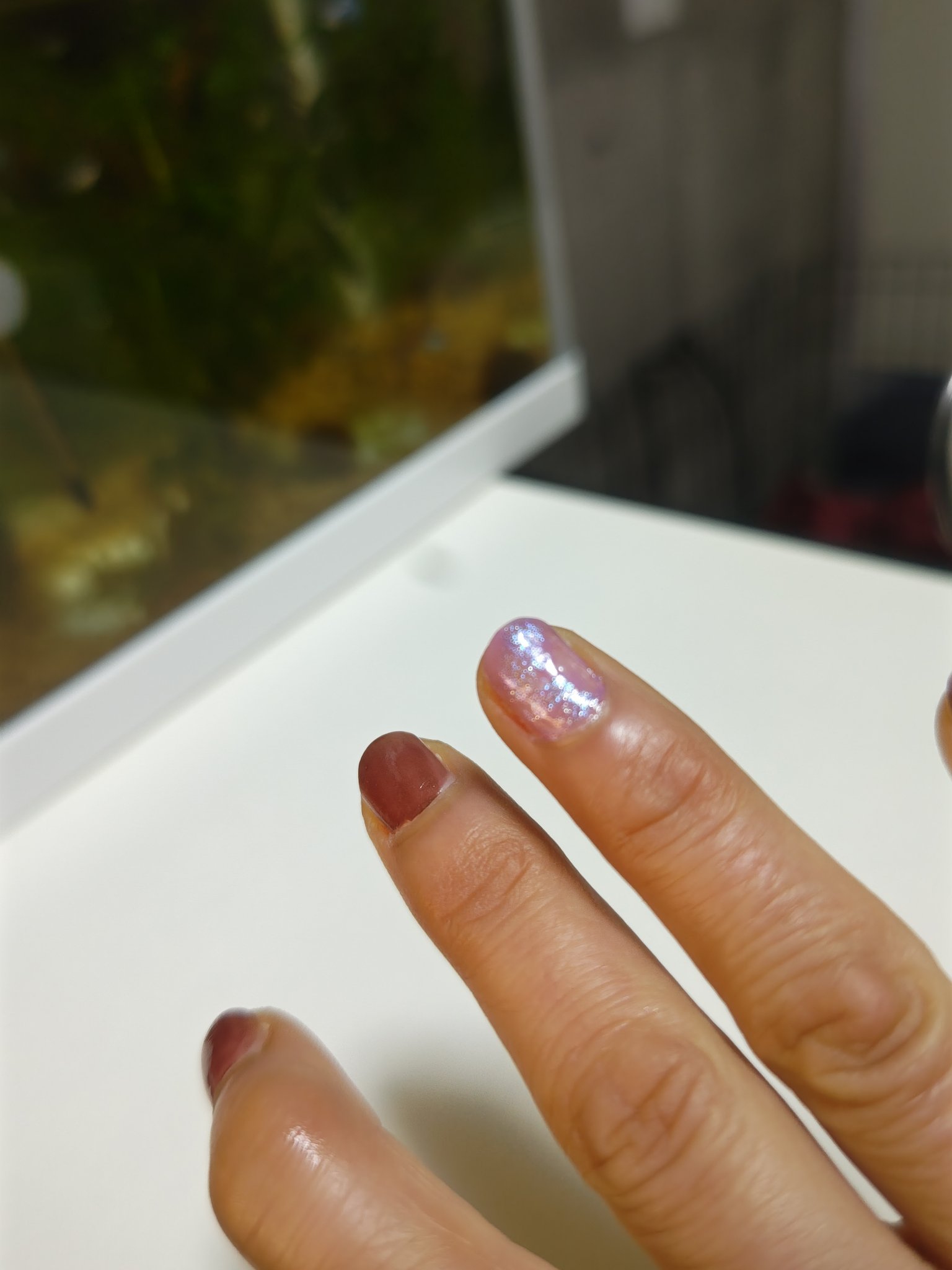 カラフルネイルズ/キャンメイク/マニキュアを使ったクチコミ（2枚目）