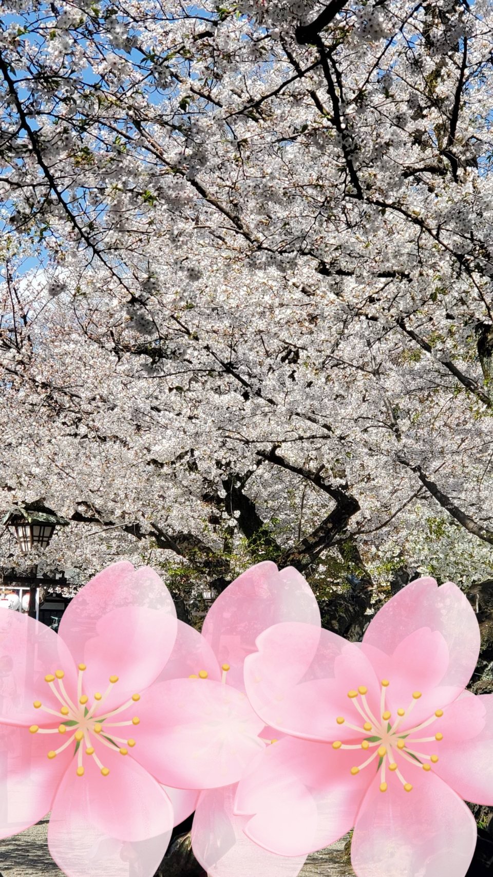 アイグロウ ジェム GY080/DECORTÉ/ジェル・クリームアイシャドウを使ったクチコミ（2枚目）