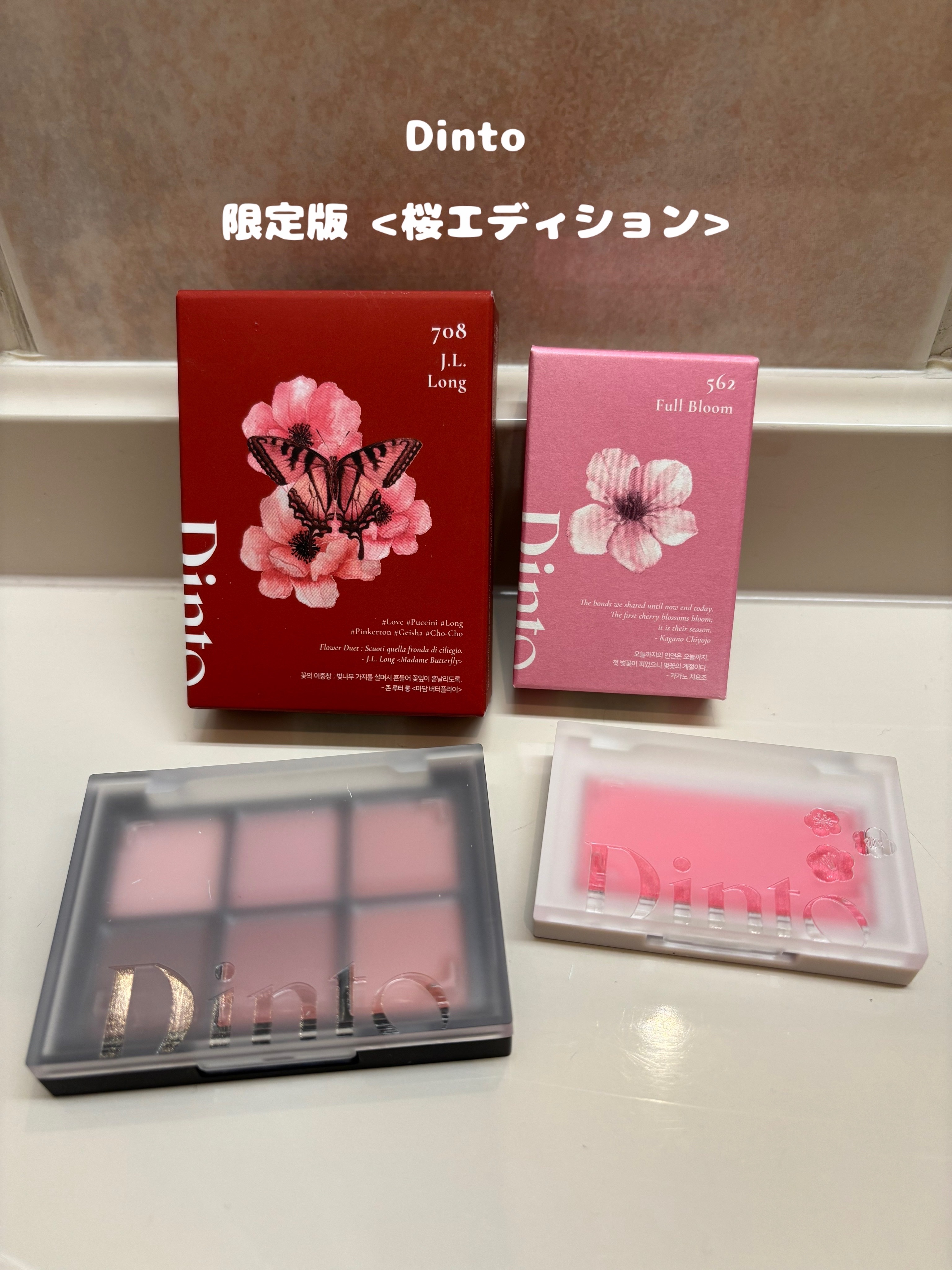 ブラーフィニシュシャドウパレット/Dinto/アイシャドウパレットを使ったクチコミ（1枚目）