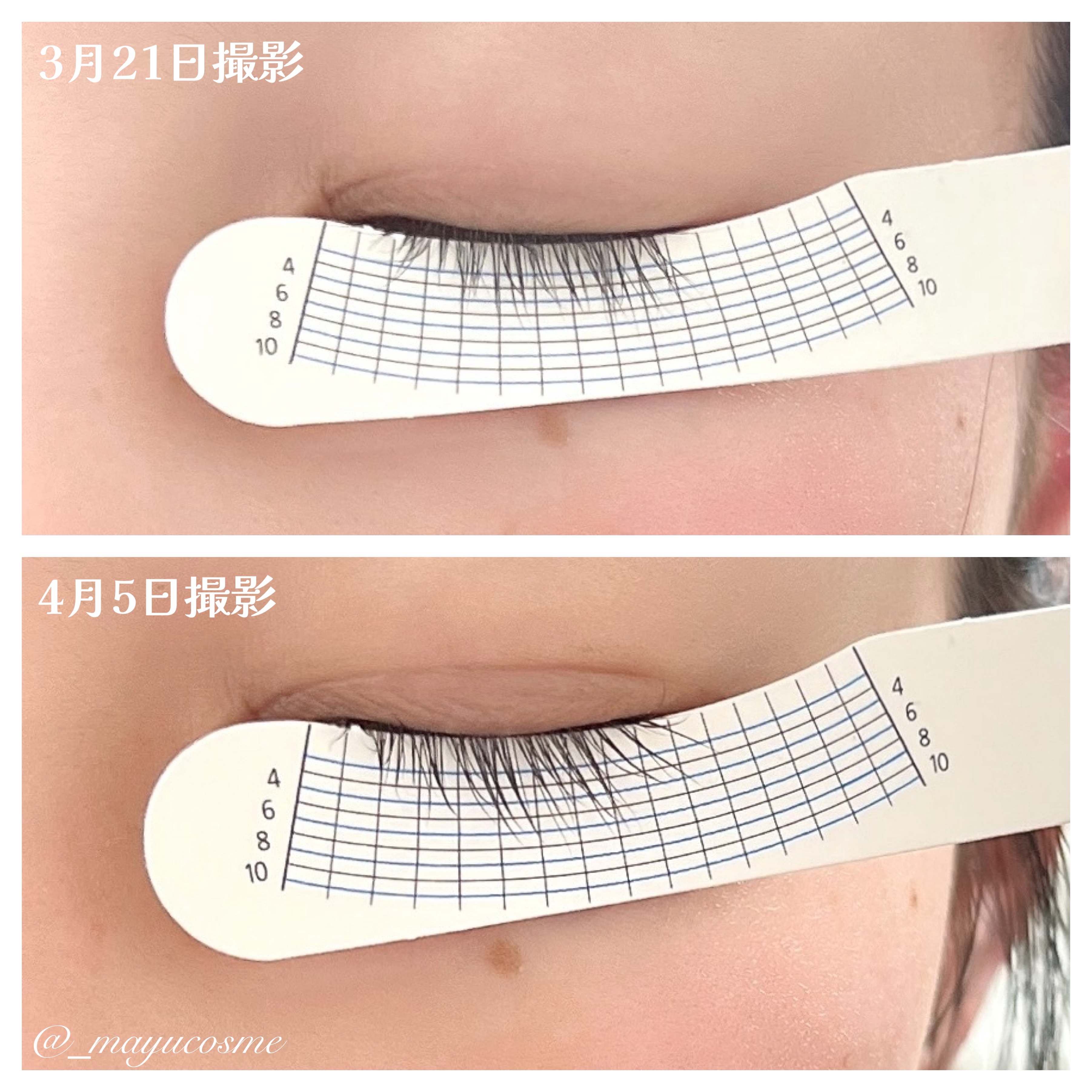 リアルミービオテノールラッシュアップアンプル/ベリサム/まつげ美容液を使ったクチコミ（3枚目）