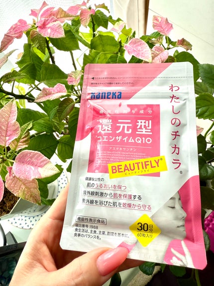 わたしのチカラ® BEAUTIFLY®(ビューティフライ)/カネカ/美容サプリメントを使ったクチコミ(1枚目)
