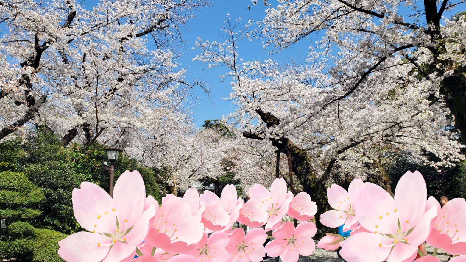 アイグロウ ジェム GY080/DECORTÉ/ジェル・クリームアイシャドウを使ったクチコミ（1枚目）