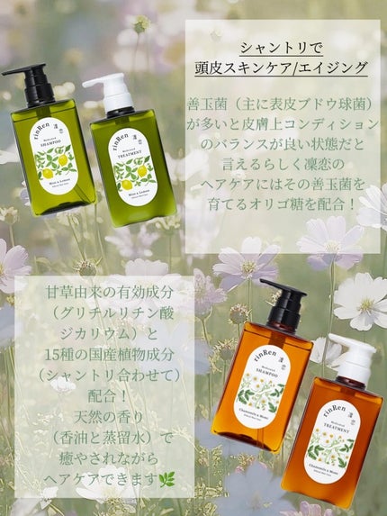 レメディアル シャンプー/トリートメント ミント&レモン/rinRen(凛恋)/市販シャンプーを使ったクチコミ(2枚目)