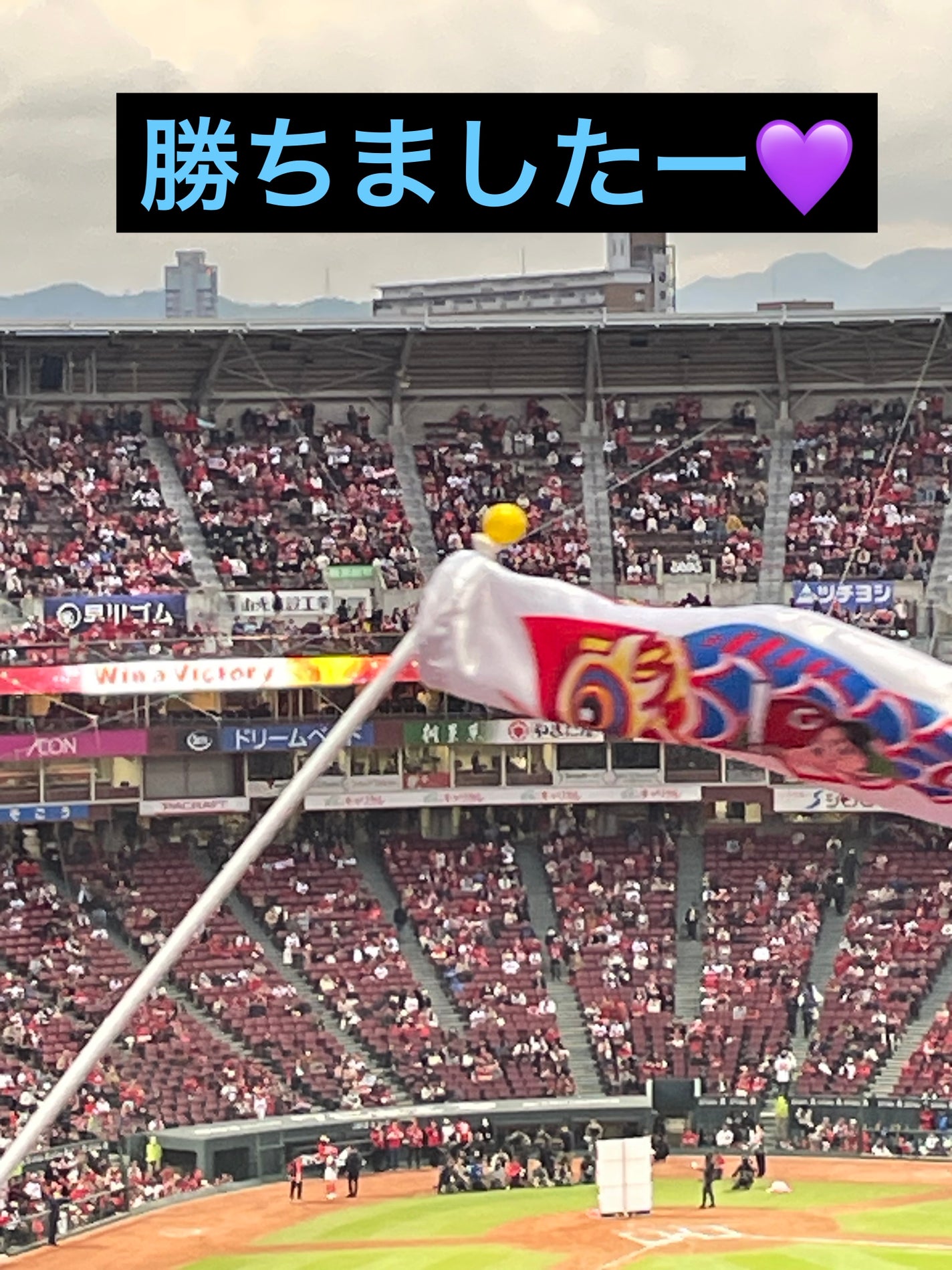 パノラマデザイン アイパレット/Visée/アイシャドウパレットを使ったクチコミ(4枚目)