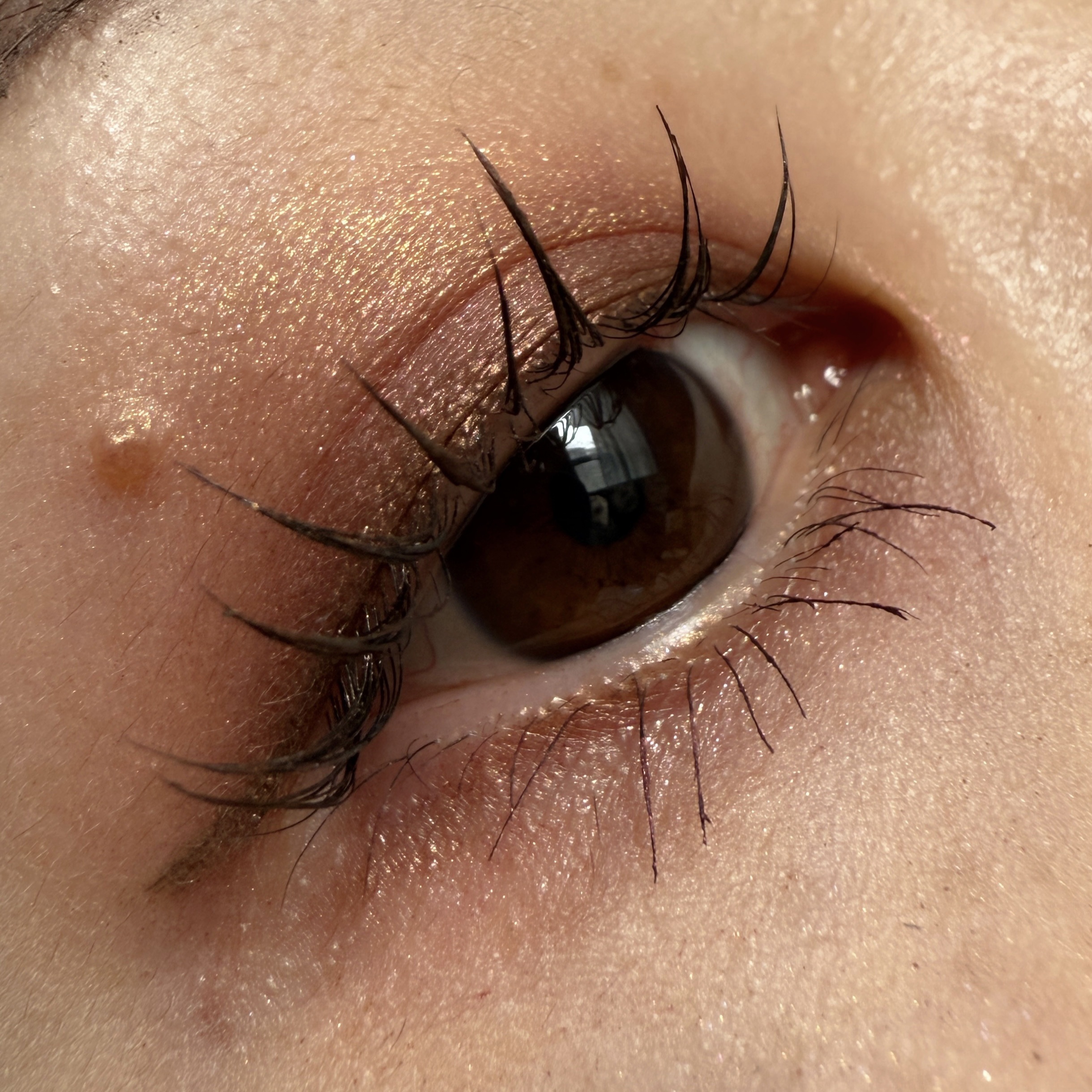 Mother Ship VII Divine Rose /PAT McGRATH LABS/アイシャドウパレットを使ったクチコミ（1枚目）