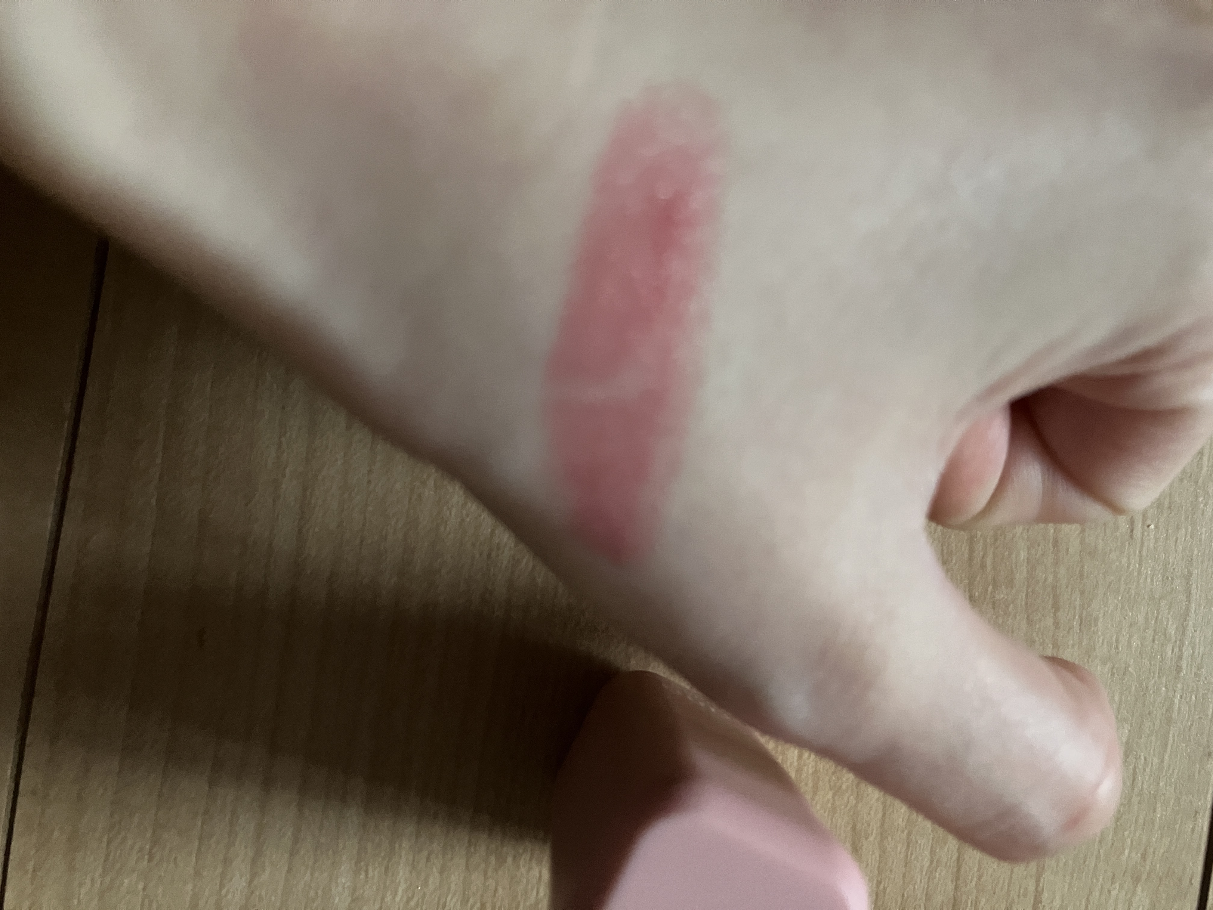 シアーグラスリップスティック 02 ベリー/hana by hince/口紅を使ったクチコミ（2枚目）