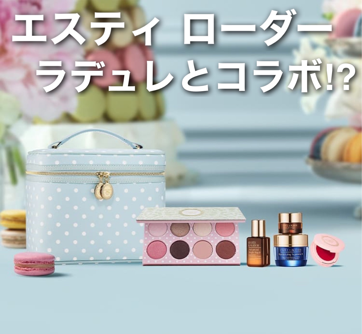 リミテッド エディション アイシャドウ パレット L/ESTEE LAUDER/アイシャドウパレットを使ったクチコミ（1枚目）