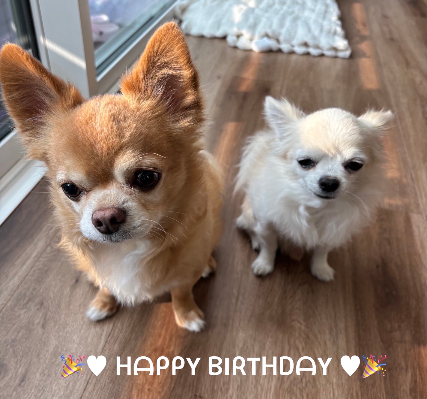 ミニネイル/パラドゥ/マニキュアを使ったクチコミ(6枚目)