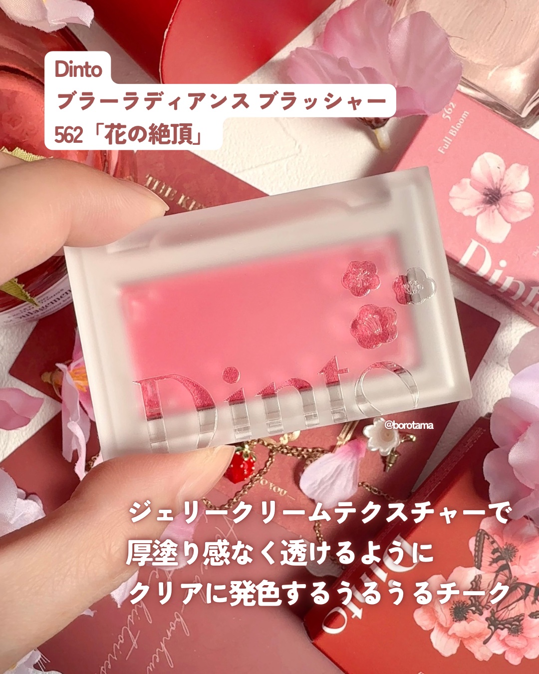 ブラーフィニシュシャドウパレット/Dinto/アイシャドウパレットを使ったクチコミ（3枚目）