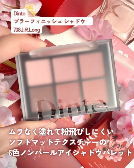 ブラーフィニシュシャドウパレット/Dinto/アイシャドウパレットを使ったクチコミ(6枚目)