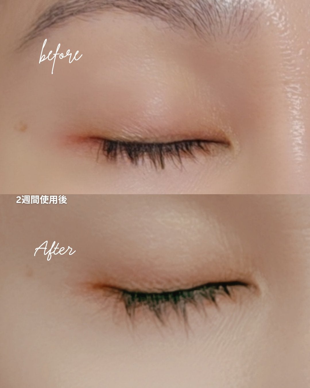 ロングアクティブアイラッシュセラム/COSNORI/まつげ美容液を使ったクチコミ(6枚目)