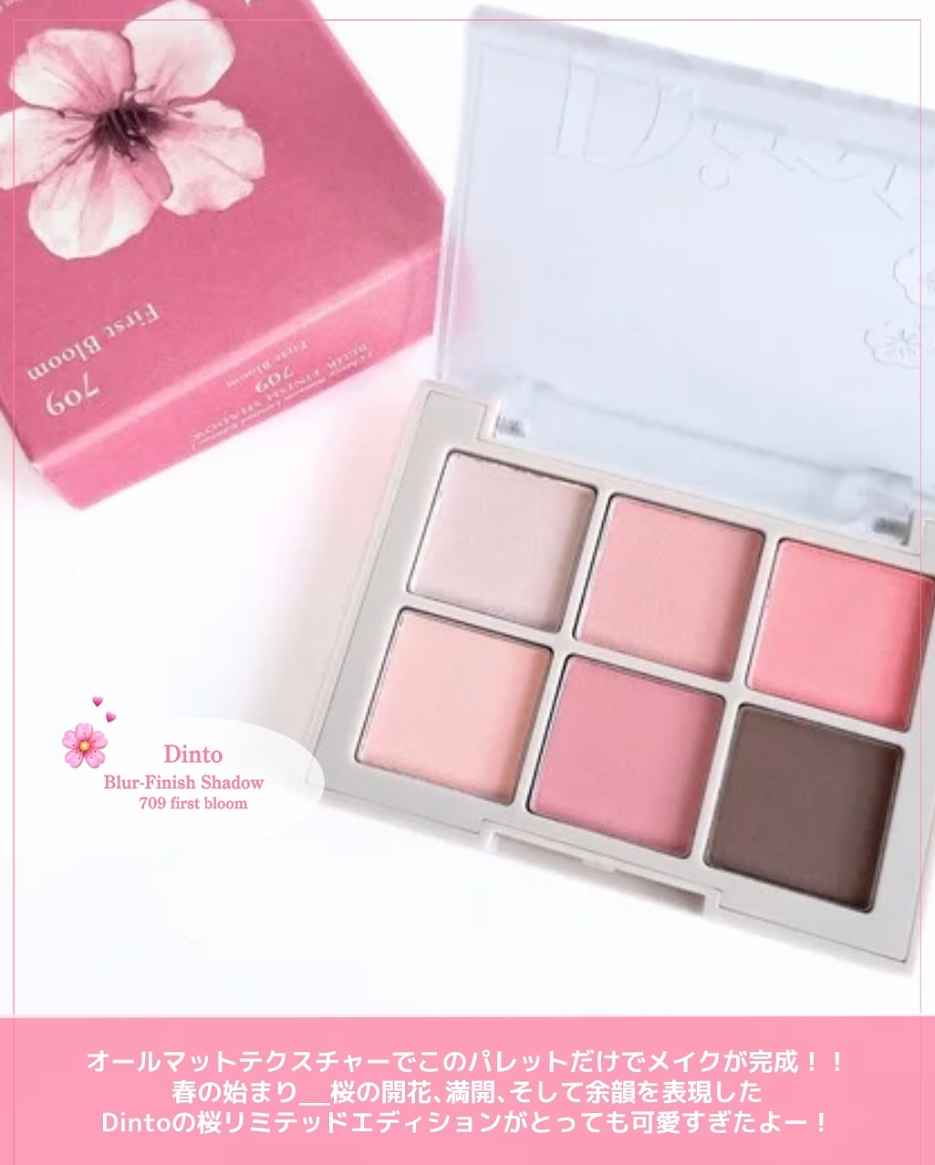 ブラーフィニシュシャドウパレット/Dinto/アイシャドウパレットを使ったクチコミ（3枚目）