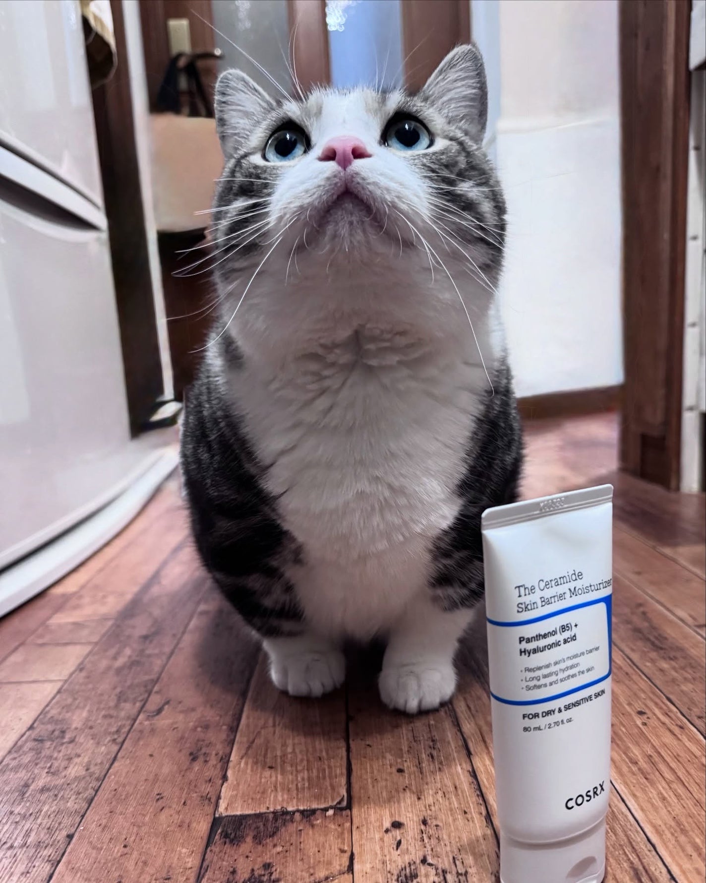 RXザ・セラミドスキンバリアモイスチャライザー/COSRX/フェイスクリームを使ったクチコミ(1枚目)