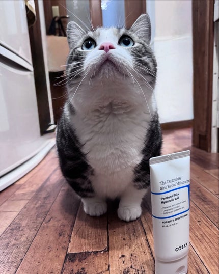 RXザ・セラミドスキンバリアモイスチャライザー/COSRX/フェイスクリームを使ったクチコミ(1枚目)