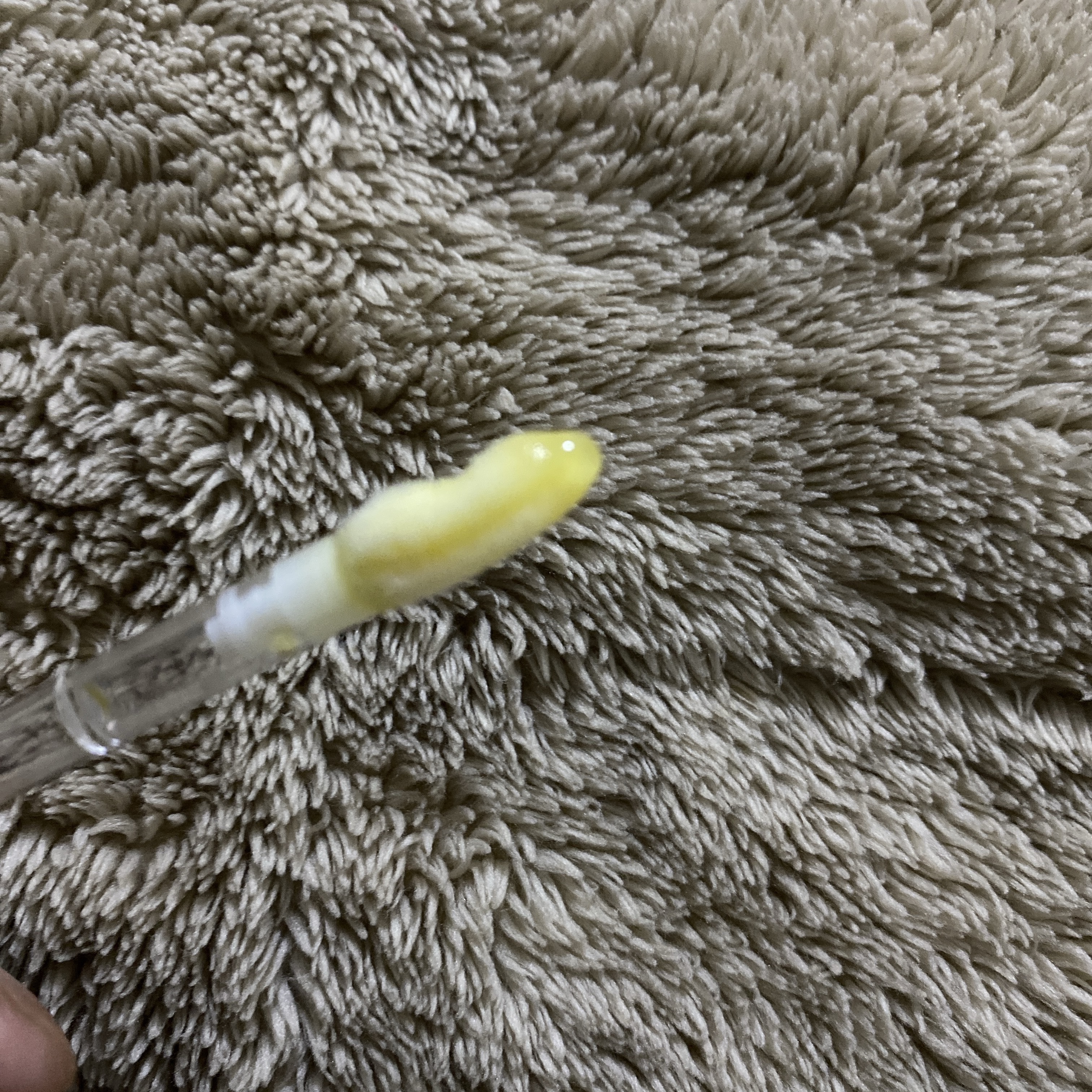 リップガラス ブロウ ジンジャ ジンガー（クリア）/M・A・C/リッププランパーを使ったクチコミ（2枚目）