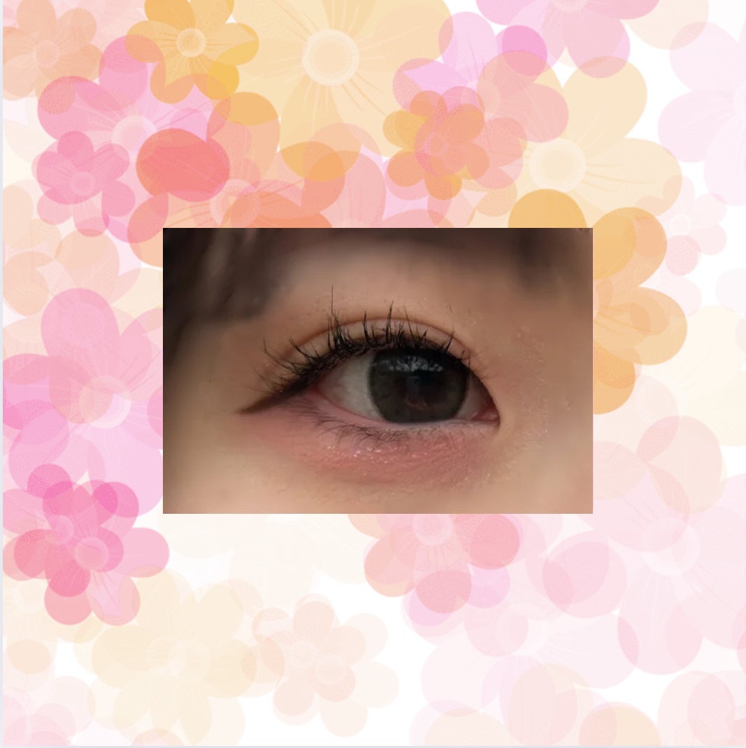 シャドウパレット/dasique/アイシャドウパレットを使ったクチコミ(3枚目)