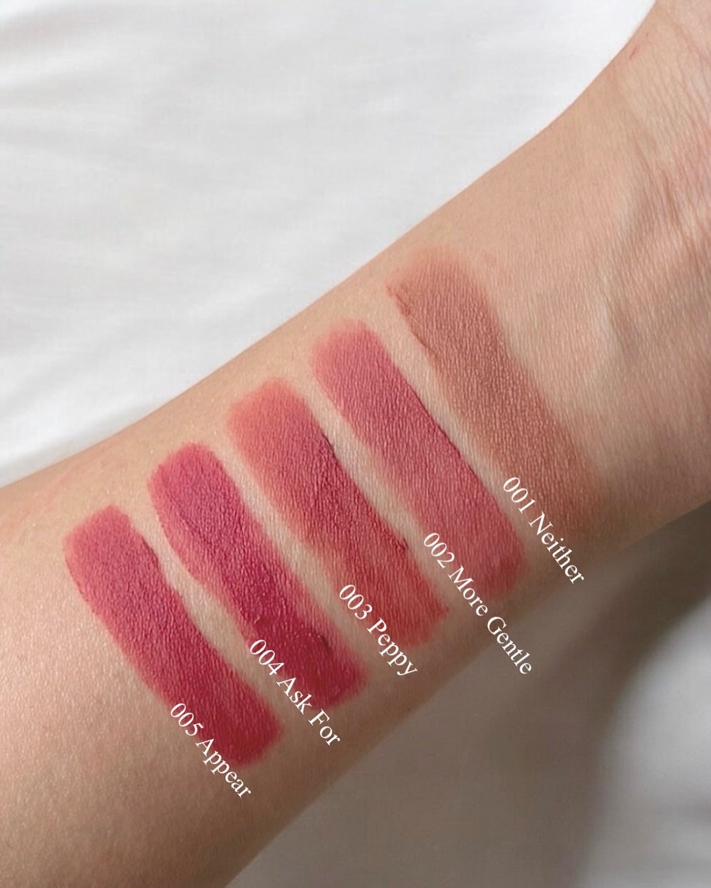 シルキーブラーティント/ArteSinsa/口紅を使ったクチコミ(3枚目)