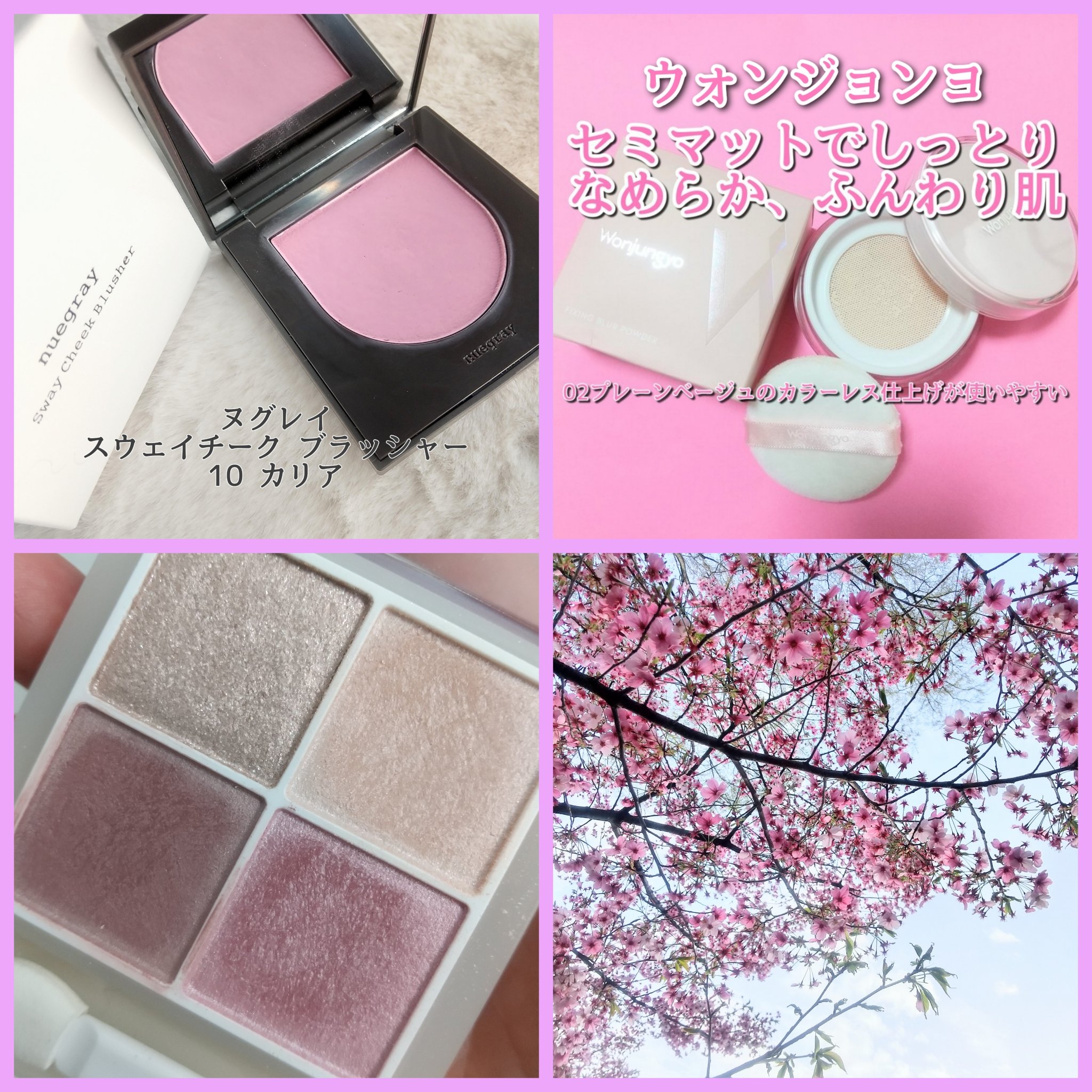 ウォンジョンヨ フィクシングブラーパウダー N/Wonjungyo/ルースパウダーを使ったクチコミ（1枚目）