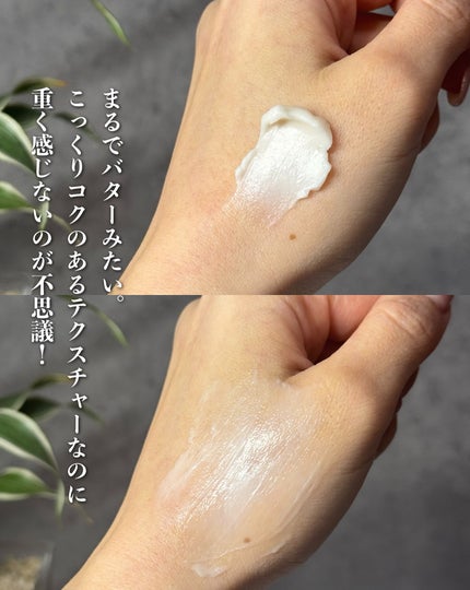 バイオヒールボ プロバイオダーム 3Dリフティングクリーム/BIOHEAL BOH/フェイスクリームを使ったクチコミ(4枚目)